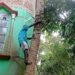 ৫৫ বছর ধরে নারকেলগাছ পরিষ্কার করেই জীবিকা নির্বাহ তৈয়ব আলীর